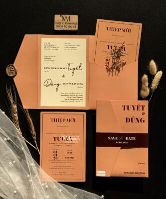 thiep-cuoi-3in1-mau-cam-dep-gia-re-thu-duc